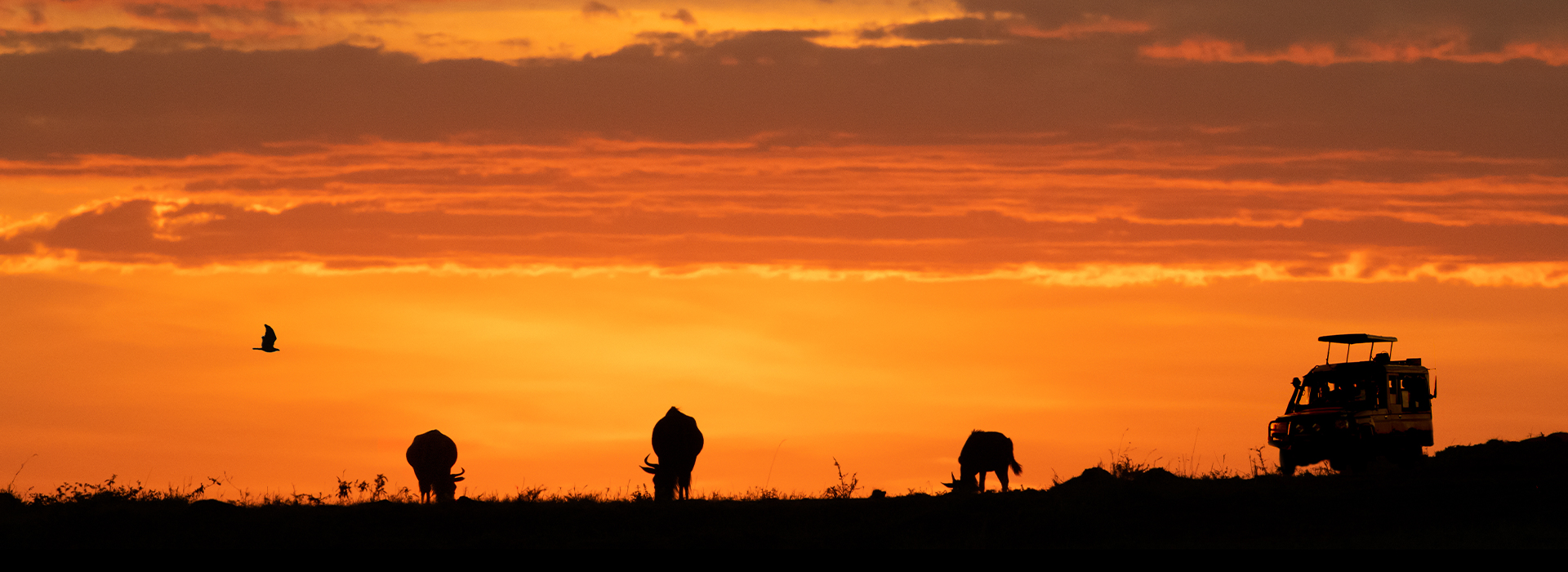 africa-sunset-safari-game-drive-web-banner